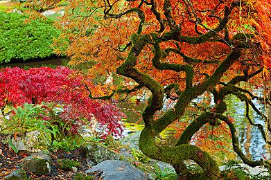 《狼的传记》steam试玩上线 历史背景2D动作解谜