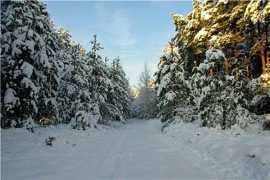 《地下城与勇士：决斗》发布训练模式预告 6月28日发售